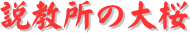y[W^CgF̑