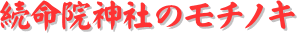 ページタイトル：続命院神社のモチノキ