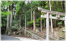 画像：岩上神社の夫婦スギ