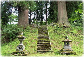 画像：藤沢熊野神社の二本スギ