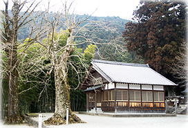 画像：倉屋神社のムクロジ（全景）