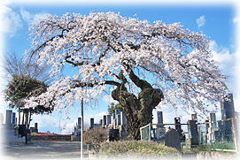 �摜�F�т̂������_2