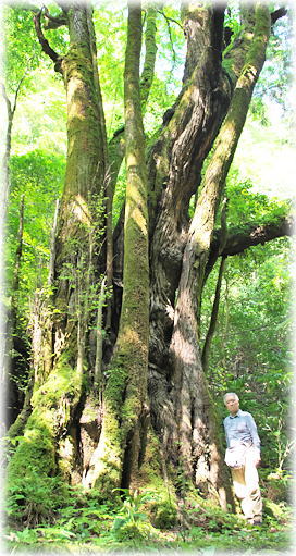 �摜�F�������̃J�c��