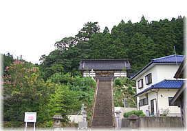 画像：広江八幡神社の大杉（遠景）