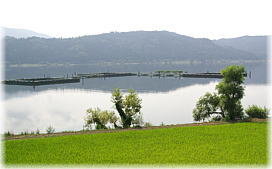 画像：川並付近の余呉湖の風景