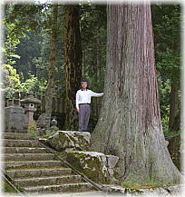 画像：白山神社の大杉（幹と並ぶ）