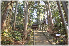 画像：鷲子山の千年杉（この石段の上に立つ）