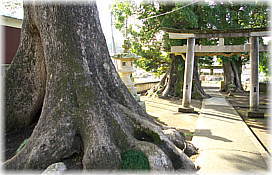 画像：熊野神社参道