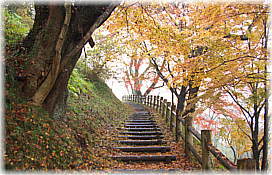 画像：芦野城跡の遊歩道