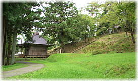 画像：小迫白山神社のスギ