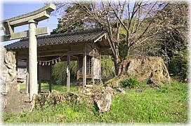 画像：山長神社の切株
