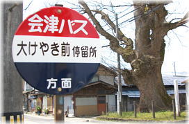 画像：相田のケヤキ（バス停とケヤキ）
