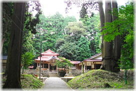 画像：粟倉神社と大ヒノキ