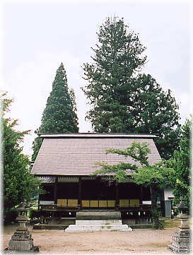 画像：栗原神社の杉（全景）