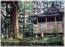 画像：頭川神社と大スギ
