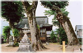画像：愛宕神社のケヤキ（境内の様子）