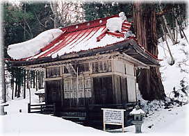 画像：北野神社と大杉