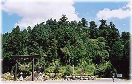 画像：大山白山神社の社叢