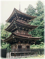 画像：新海三社神社三重塔